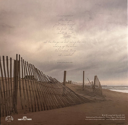 American Aquarium : Chicamacomico (LP, Album, Ltd, Pur)