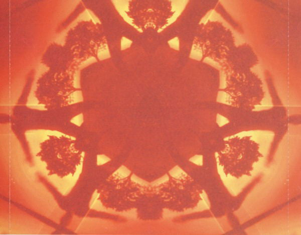Boards Of Canada : Geogaddi (CD, Album)
