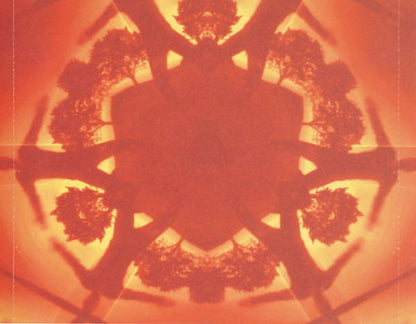 Boards Of Canada : Geogaddi (CD, Album)
