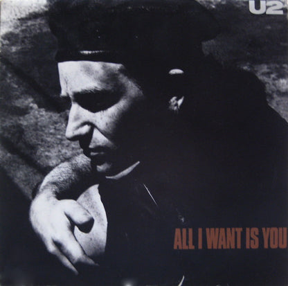 U2 : All I Want Is You (12", Single)