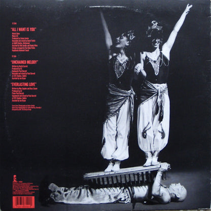 U2 : All I Want Is You (12", Single)