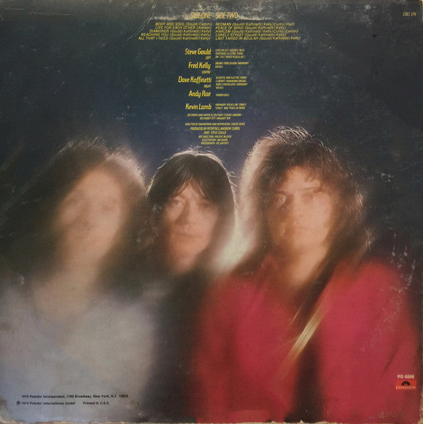 Rare Bird : Born Again (LP, Album)