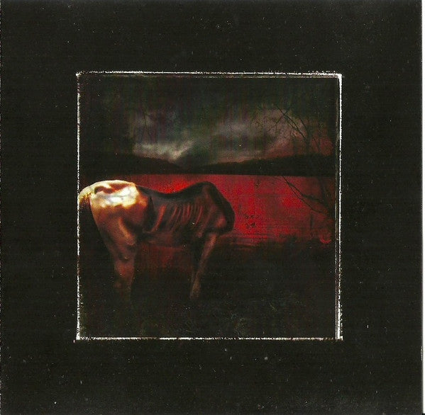 Clinging To The Trees Of A Forest Fire : Harmonies From Bleeding Mouths (CD, EP)