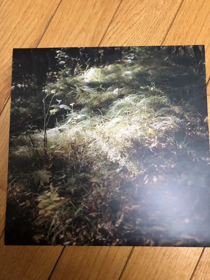 The Hotelier : It Never Goes Out (LP, RP, Blu)