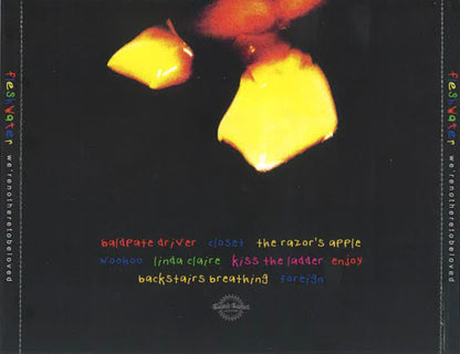 Fleshwater : We're Not Here To Be Loved (CD, Album)