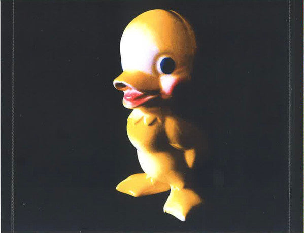 Fleshwater : We're Not Here To Be Loved (CD, Album)