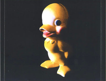 Fleshwater : We're Not Here To Be Loved (CD, Album)