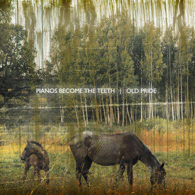 Pianos Become The Teeth : Old Pride (CD, Album, Dig)