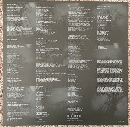 Days Of The New : Days Of The New (2xLP, Album, RE, 180)