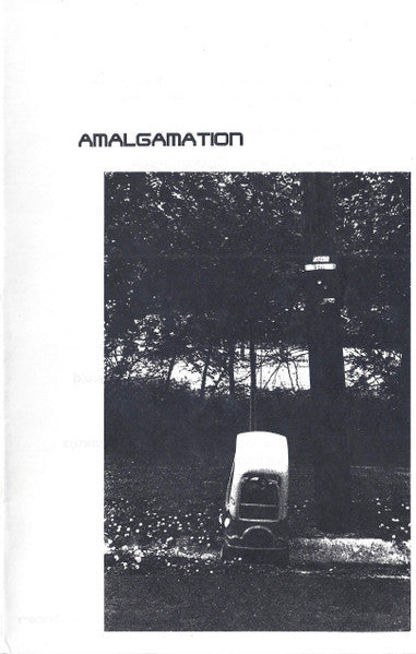 Amalgamation / Left In Ruins (2) : Amalgamation / Left In Ruins (LP, Album)