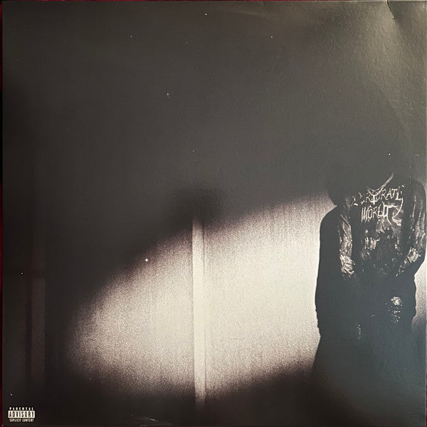 Destroy Lonely : No Stylist (LP, Mixtape)