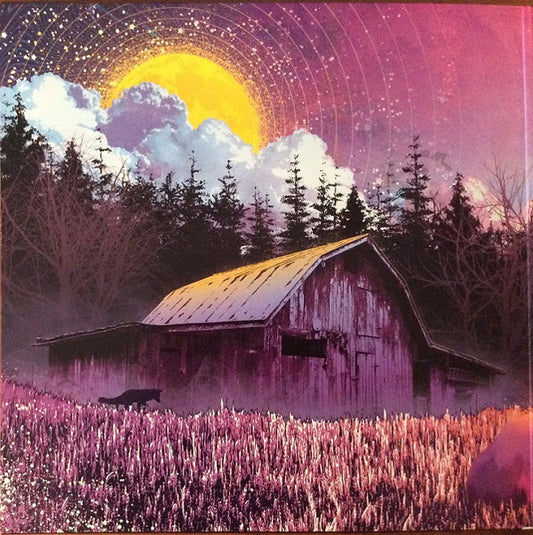 Tyler Childers : Country Squire (LP, Album, RP)