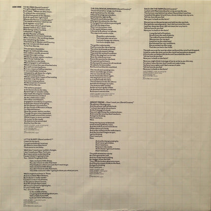 Strawbs : Nomadness (LP, Album, Pit)