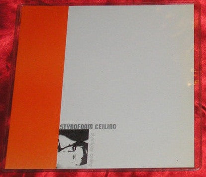 Styrofoam Ceiling : Troubles And Dreams / Modern Age (7", Cle)