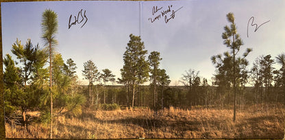 Chickasaw Mudd Puppies : Fall Line (LP, Album, Cle)