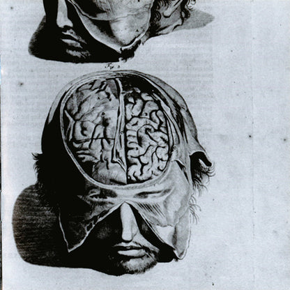 7L & Esoteric : 1212 (CD, Album)