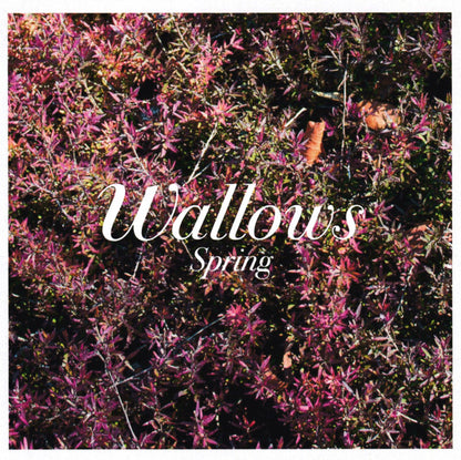 Wallows : Spring (CDr, EP)