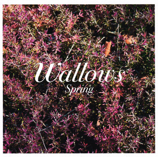 Wallows : Spring (CDr, EP)