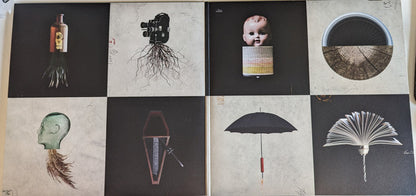 Foo Fighters : Echoes, Silence, Patience & Grace (2xLP, Album, RE)