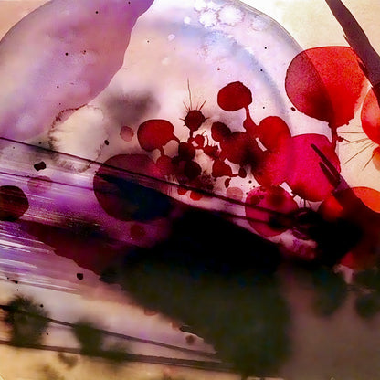 Silversun Pickups : Swoon (2xLP, Album, RE, Gat)