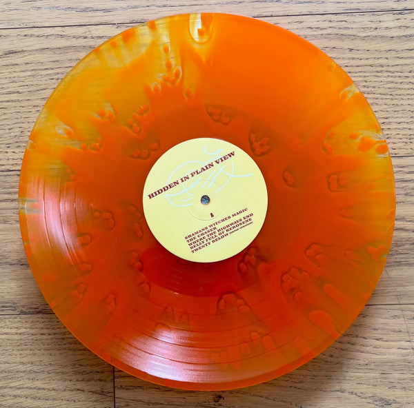 Hidden In Plain View : Hidden In Plain View (LP, EP, RE, Cle)