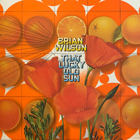 Brian Wilson : That Lucky Old Sun (LP, Album, Ltd)