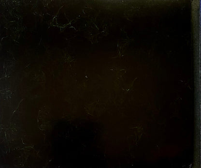 PVRIS : Evergreen (CD, Album)