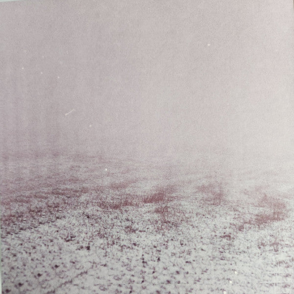 Slowdive : Slowdive (LP, Album, RE)