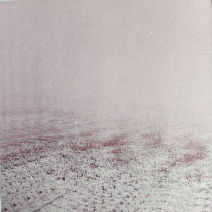Slowdive : Slowdive (LP, Album, RE)