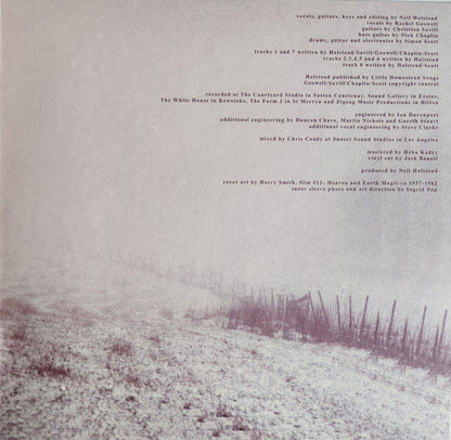 Slowdive : Slowdive (LP, Album, RE)