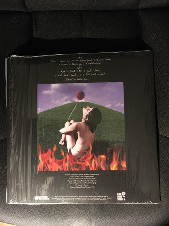 Paula Cole : This Fire  (LP, Album, RE, RM, Blu)