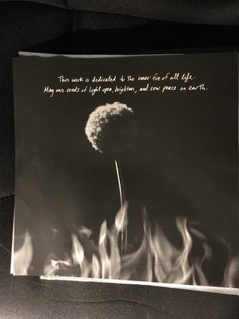 Paula Cole : This Fire  (LP, Album, RE, RM, Blu)