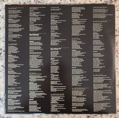 Darius Rucker : True Believers (LP, Album, Gre)