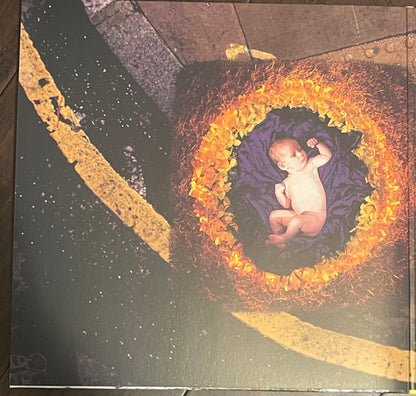 The Cranberries : To The Faithful Departed (2xLP, Album, Dlx, RM)