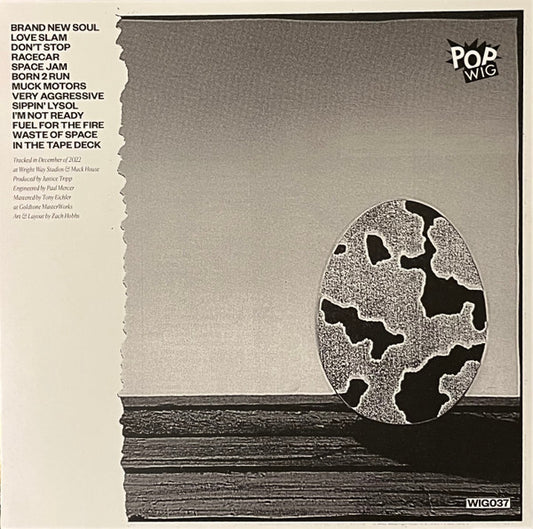 Angel Du$t : Brand New Soul (12", Album, Hun)