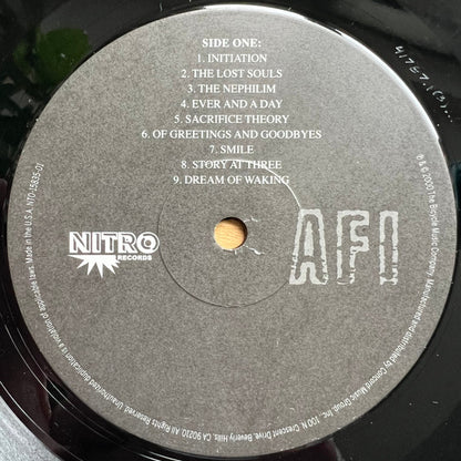 AFI : The Art Of Drowning (LP, Album, RE)