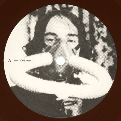 Ween : The Pod (2xLP, Album, RE, Bro)