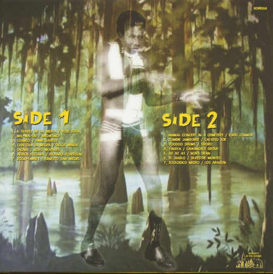 Various : Voodoo Party (LP, Comp)