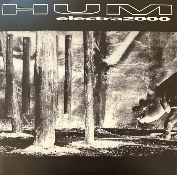 Hum (2) : Electra 2000 (2xLP, Album, RE, RM)