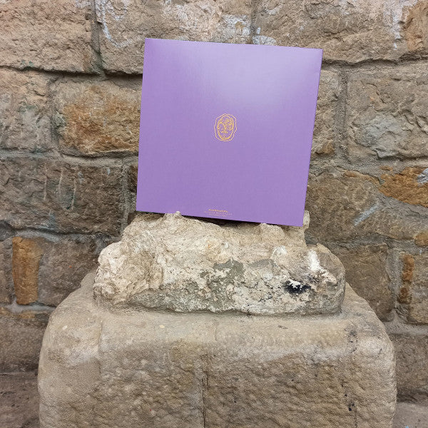 No Sanctuary (2) : Metafísica Popular Portátil (LP, Album, Ltd)