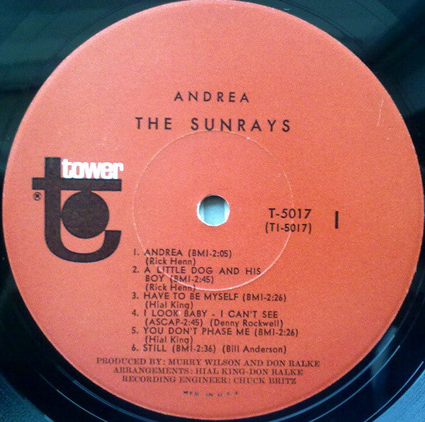 The Sunrays : Andrea (LP, Album, Mono, Scr)
