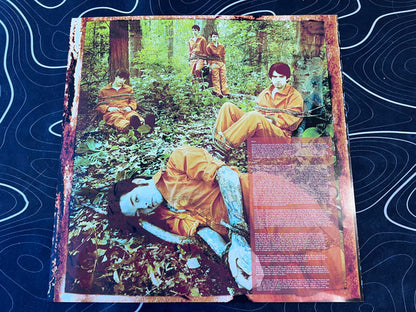 Senses Fail : Let It Enfold You (LP, Album, RE)
