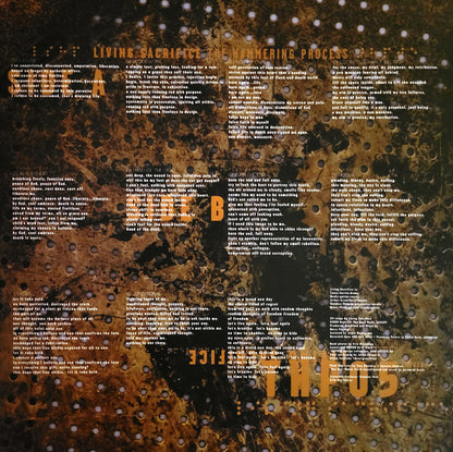 Living Sacrifice : The Hammering Process (LP, Album, RM, RP, Gre)
