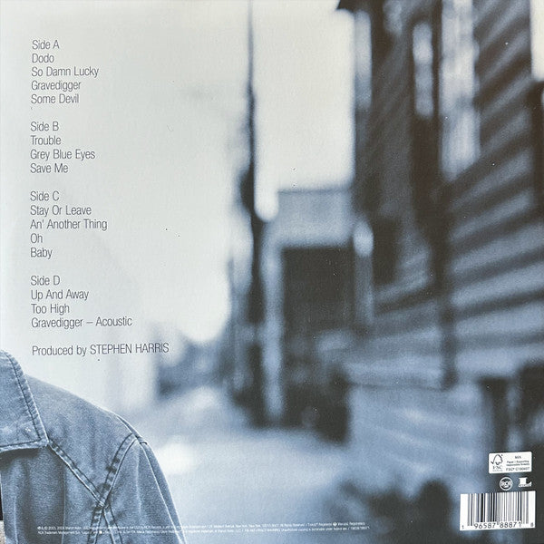 Dave Matthews : Some Devil (2xLP, Album)