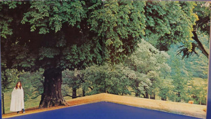 Luther Grosvenor : Under Open Skies (LP, Album, Win)