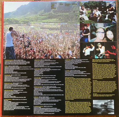 Slightly Stoopid : Everything You Need (LP, Album, RE, Sun)