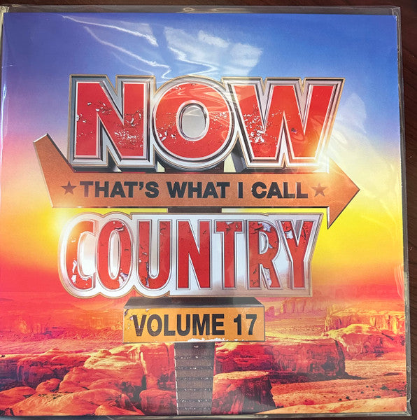 Various : Now That's What I Call Country Volume 17 (LP, Opa)