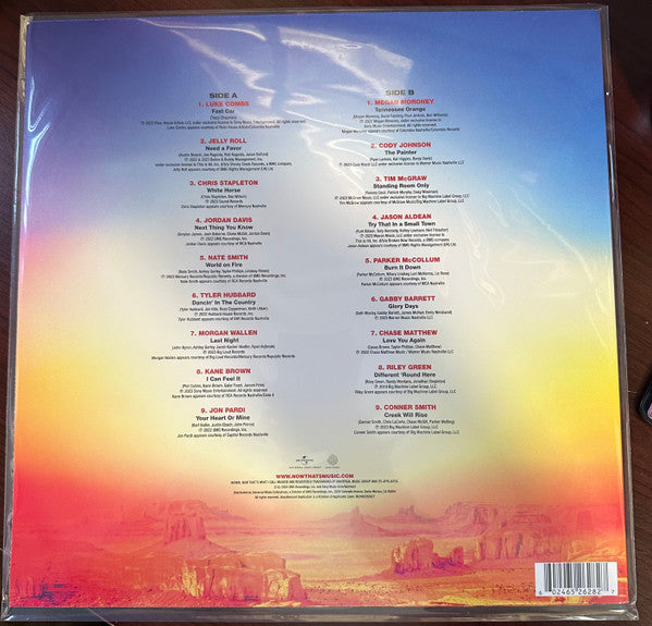 Various : Now That's What I Call Country Volume 17 (LP, Opa)