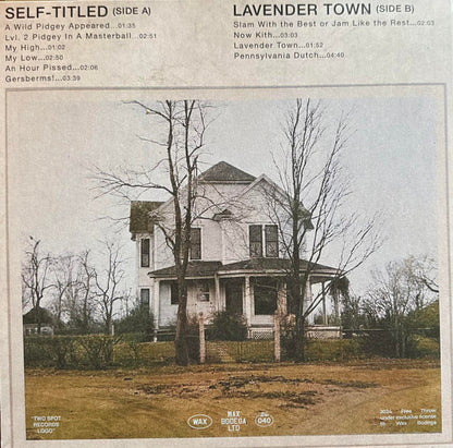 Free Throw : Self-Titled & Lavender Town (LP, Comp, Ltd, Bro)