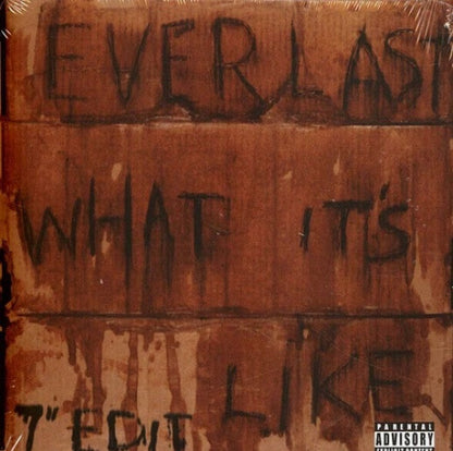 Everlast : What It's Like / Ends (7", Single)